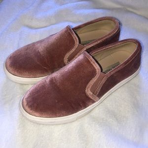 Steve Madden Slip Ons